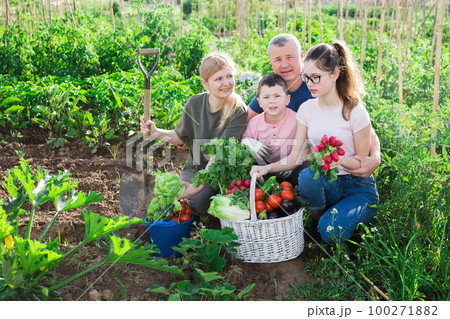 Happy family of four with basket of ripe vegetables on field Happy family of four with basket of ripe vegetables on field 100271882