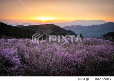福島県 桜峠の夕焼け 福島県 桜峠の夕焼け 100272805
