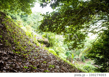 宇佐市（安心院町）　桂昌寺跡地獄極楽 100274003