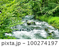 軽井沢の自然 100274197
