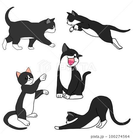 歩く猫、空を飛ぶ猫、大きな口をあけて笑っている猫、片手を挙げている猫、伸びネコの6匹の子猫のセット 歩く猫、空を飛ぶ猫、大きな口をあけて笑っている猫、片手を挙げている猫、伸びネコの6匹の子猫のセット 100274564