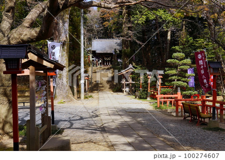 間々田八幡宮 栃木県小山市間々 間々田八幡宮 栃木県小山市間々 100274607