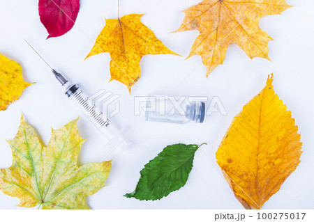 Autumn vaccination of population. Syringe in autumn leaves. Vaccination in autumn. New vaccine. Autumn vaccination of population. Syringe in autumn leaves. Vaccination in autumn. New vaccine. 100275017