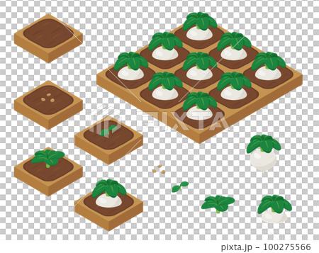 農場ゲームのイラスト_成長する蕪_アイソメトリック 100275566