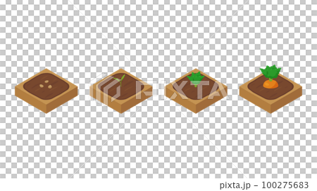 Farm game illustration_Growing carrot_Isometric Farm game illustration_Growing carrot_Isometric 100275683