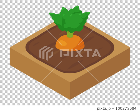 Farm game illustration_carrot_isometric 100275684