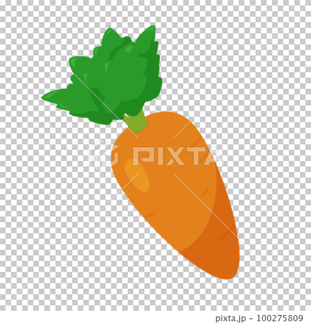 にんじんのイラスト 100275809