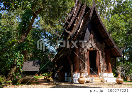 intricate details of the buildings design and the contrast between their sharp edges and organic surroundings. 100277221