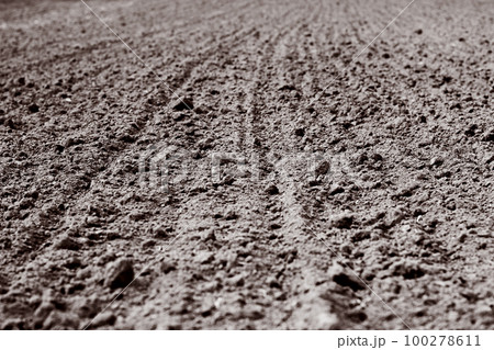plowed furrows in the ground plowed furrows in the ground 100278611