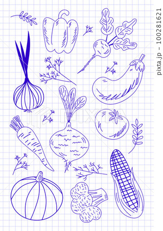 Set of line vegetables on notebook page background. Fresh food outline drawn isolated elements set. Vector illustration. Coloring for adults EPS 100281621