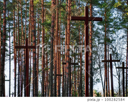 High crosses among the trees at Polish military cemetery. Memorial to the Second World War. High crosses among the trees at Polish military cemetery. Memorial to the Second World War. 100282584