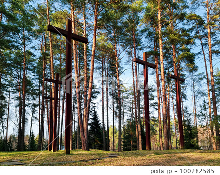 High crosses among the trees at Polish military cemetery. Memorial to the Second World War. High crosses among the trees at Polish military cemetery. Memorial to the Second World War. 100282585