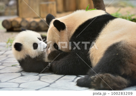 娘と遊ぶ良浜ママ 100283209