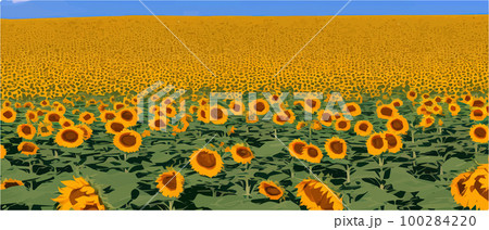 Sunflower blossom farm overlooking blue sky summer season landscape banner, cut and craft style, organic plants 100284220