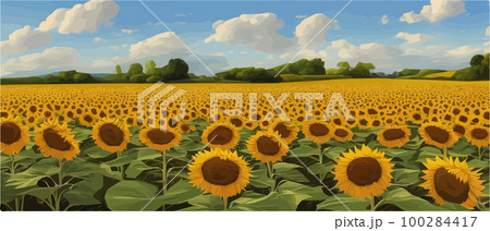 Sunflower blossom farm overlooking blue sky summer season landscape banner, cut and craft style, organic plants Sunflower blossom farm overlooking blue sky summer season landscape banner, cut and craft style, organic plants 100284417