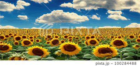 Sunflower blossom farm overlooking blue sky summer season landscape banner, cut and craft style, organic plants 100284488