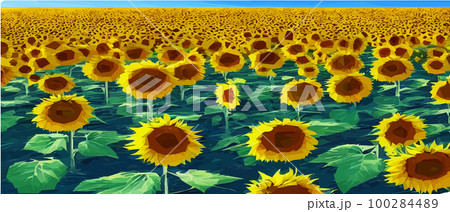 Sunflower blossom farm overlooking blue sky summer season landscape banner, cut and craft style, organic plants Sunflower blossom farm overlooking blue sky summer season landscape banner, cut and craft style, organic plants 100284489