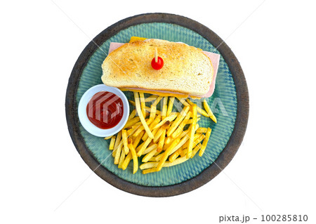Sandwich and french fries in plate 100285810