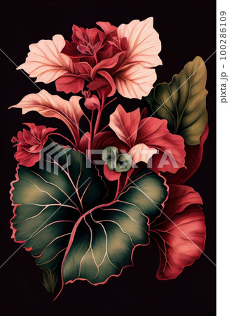 Begonia Flower Botanical Illustration, Pot Flowers Realistic Painting, Abstract Generative AI Illustration Begonia Flower Botanical Illustration, Pot Flowers Realistic Painting, Abstract Generative AI Illustration 100286109