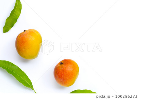Mango, Tropical fruit with leaves on white background. Top view Mango, Tropical fruit with leaves on white background. Top view 100286273