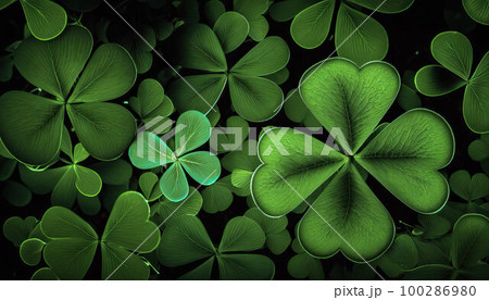 green four leaf clover is a symbol of the celebration of St. Patrick's Day green four leaf clover is a symbol of the celebration of St. Patrick's Day 100286980