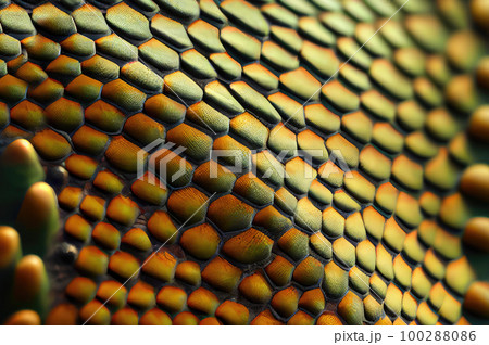 Chameleon Skin Texture Background, Colored Lizard Scales, Iguana Leather, Generative AI Illustration Chameleon Skin Texture Background, Colored Lizard Scales, Iguana Leather, Generative AI Illustration 100288086