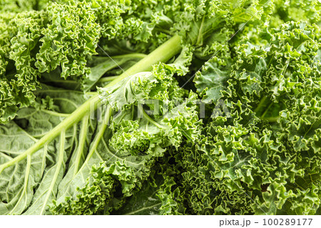 Fresh green kale leaves as background, closeup 100289177