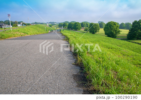 渡良瀬遊水地　思い出橋付近　土手からの風景　　　 100290190
