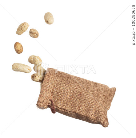 Boiled peanut fly explosion, boiled peanut bean fall down pour in sac bag. Tropical boiled peanut throw in air. White background Isolated high speed shutter, freeze action Boiled peanut fly explosion, boiled peanut bean fall down pour in sac bag. Tropical boiled peanut throw in air. White background Isolated high speed shutter, freeze action 100290658