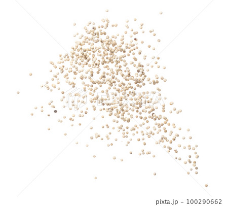 White Pepper seeds fly explosion, white Pepper float explode, abstract cloud fly. Peppercorn splash throwing in Air. White background Isolated high speed shutter, freeze motion 100290662