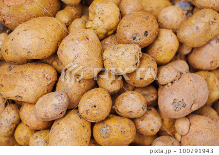 Expanded clay. small lumps of clay used in construction and for growing plants. 100291943