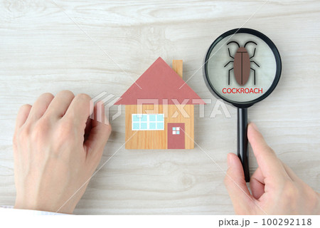 住宅とゴキブリの発見イメージ 住宅とゴキブリの発見イメージ 100292118