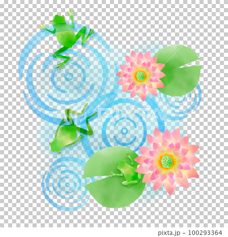 插圖與睡蓮花和青蛙圖案 插圖與睡蓮花和青蛙圖案 100293364