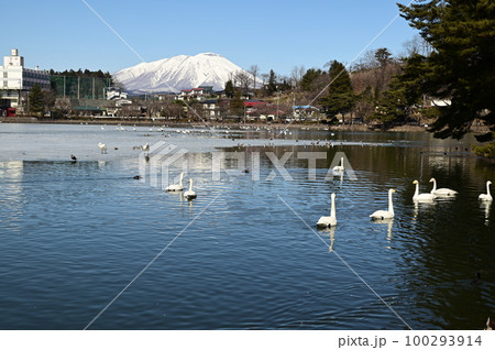 高松の池から見える岩手山 高松の池から見える岩手山 100293914