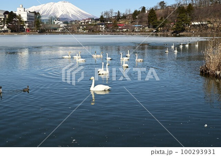 高松の池から見える岩手山 高松の池から見える岩手山 100293931