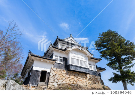 《岡山県》備中松山城（日本100名城） 100294046