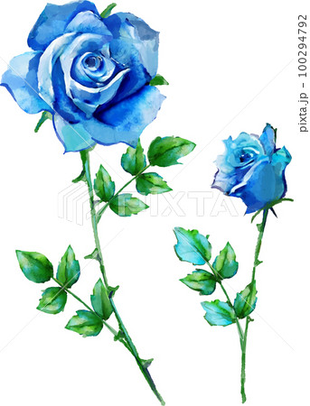 青い 薔薇 薔薇 油絵 油絵 絵画 猫と青い薔薇