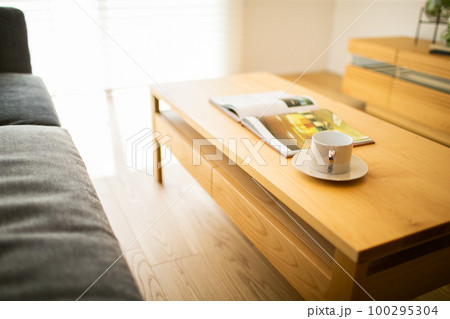 リビングのひと時 リビングのひと時 100295304