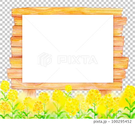 菜の花畑と掲示板　水彩イラスト 100295452