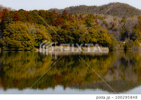 千苅水源地と波豆八幡神社 千苅水源地と波豆八幡神社 100295848