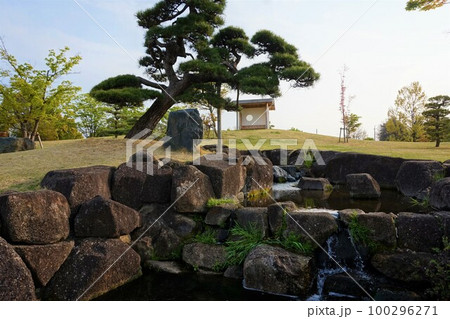 つつじが岡公園　総合公園　日本庭園 100296271