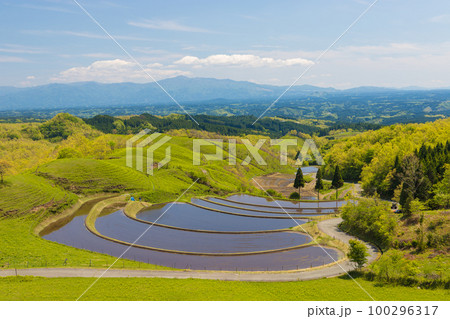 扇棚田の水田と青空（熊本県産山村） 100296317