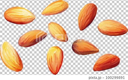 Scattered almonds watercolor style vector illustration set Scattered almonds watercolor style vector illustration set 100299891