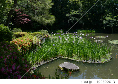 平安神宮 白虎池 京都市左京区 平安神宮 白虎池 京都市左京区 100300613