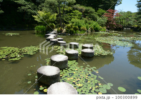 平安神宮　蒼龍池　京都市左京区 100300899