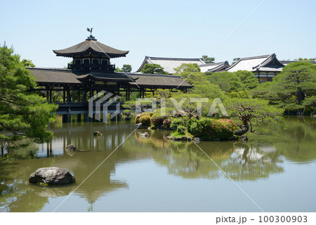 平安神宮 栖鳳池と橋殿 京都市左京区 平安神宮 栖鳳池と橋殿 京都市左京区 100300903