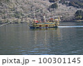 芦ノ湖海賊船 100301145