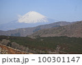 箱根と富士山 100301147