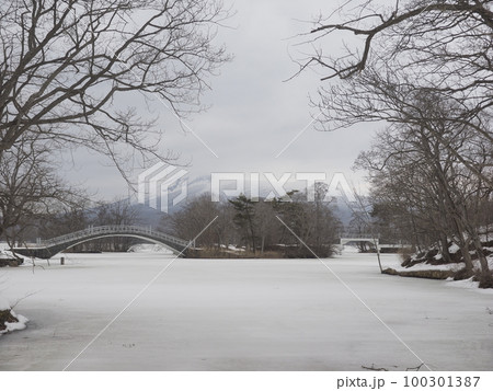 大沼国定公園、駒ヶ岳と凍った湖（北海道大沼市） 100301387