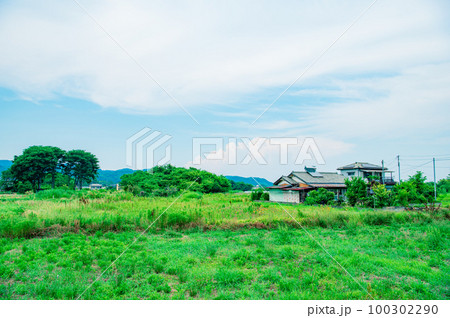夏の田舎風景 夏の田舎風景 100302290